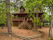231 N Forest Cove